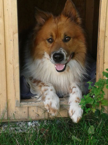 Mein Haus und mein Garten 