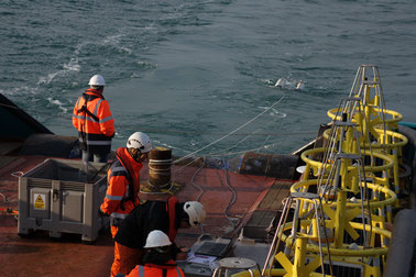 People looking at the Sparker source in the sea