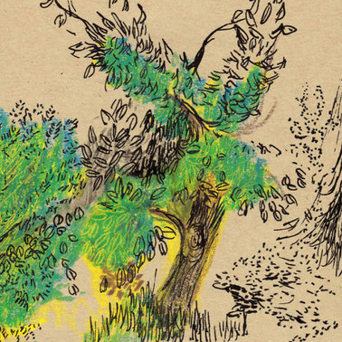 vegetal drawings
