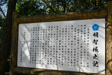 小牧 鍼灸 はり治療 美容鍼 腰痛 ギックリ腰 肩こり 頭痛 自律神経 明智光秀 麒麟がくる