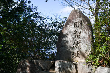 小牧 鍼灸 はり治療 美容鍼 腰痛 ギックリ腰 肩こり 頭痛 自律神経 明智光秀 麒麟がくる