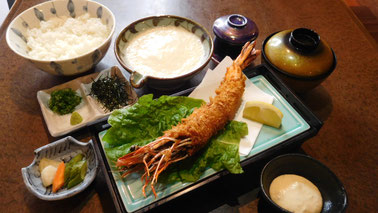 大和芋　とろろ　とろろ汁　とろろ飯　 豊川　和食　海鮮　