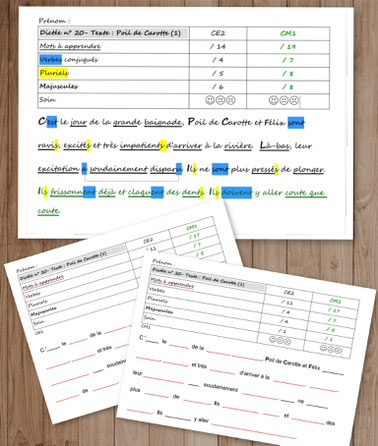 Orthographe Dictées Picot Grammaire Méthode Picot Correction CE2 CM1 cycle 2 cycle 3