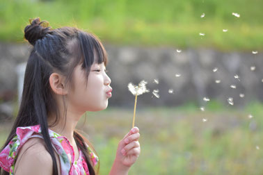 幼児食インストラクターの学習内容をご紹介します も