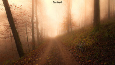Auf Biketour im Nebel am Rennsteig