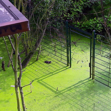 Série "Plus au nord", #04, 2017