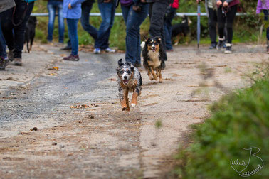 Kate und Zelda am 26.10.13