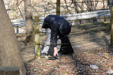 変わり花の場所を独占する男性。ここでは20分以上動かなかった