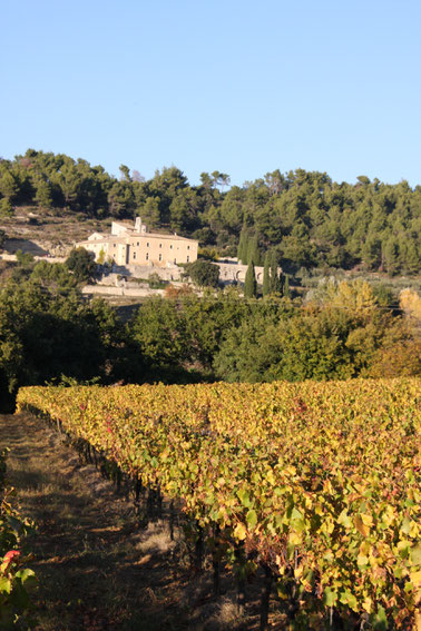 Bild: Abbaye St.-Hilaire bei Ménerbes