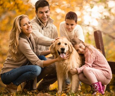 Glückliche Familie mit Golden Retriever im Freien - Symbol für Bindung & Hund sowie ein reguliertes Nervensystem im Familiensystem