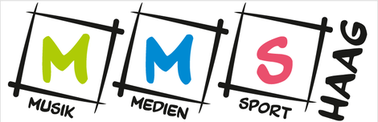 Neue NÖ Musikmittelschule Haag