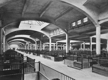 Viehhalle im Schlachthof Dresden (Quelle: www.ostrapark.de)