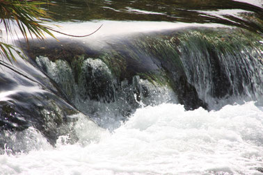 Krka ©