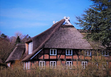 Gebäudeversicherung Fachwerkhaus mit Reetdach