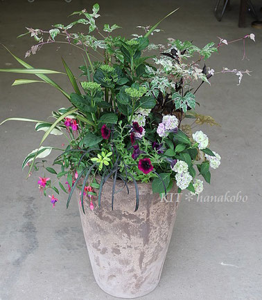 寄せ植えリース - ハンギングバスケット・寄せ植えのKIT*花 寄せ植えリース - ハンギングバスケット・寄せ植えのKIT*花