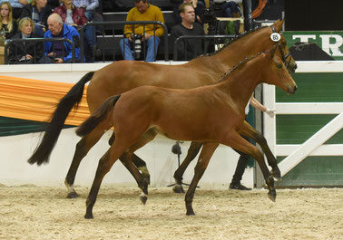 Foto: Peter Richterich