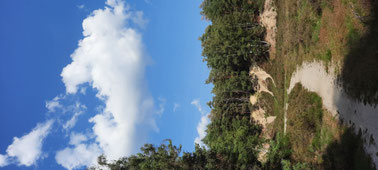 Sandige Binnendünen mitten im Wald bilden eine "Schlucht". Hier geht es auf Stiegen und Pfaden durch hügeliges Gelände