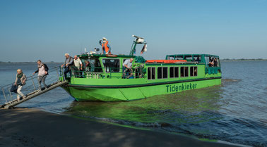 Bild: Das Schiff "Tidenkieker auf der Niederelbe mit der wir eine Schiffs-Safari unternahmen.
