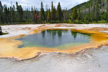 Geysire im Yellowstone bei der busreise quer durch die usa