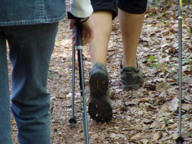 Nordic Walking Kurs