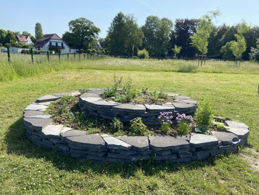 Schmetterlingsspirale am Sommerweg im Juni 2025 Foto: N. Türk