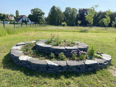 Schmetterlingsspirale am Sommerweg im Juni 2025 Foto: N. Türk