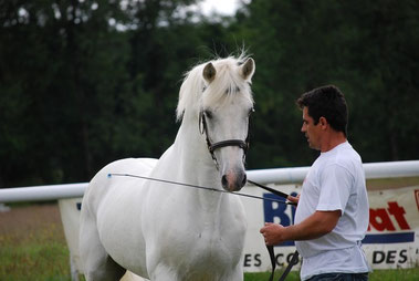 Régional Connemara Rostrenen 2008 (20 ans)