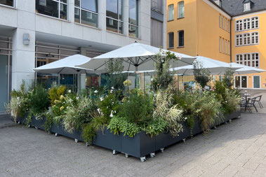 Windschutz für eine einladende Außengastronomie mitten in der Stadt und nutzbar bei jedem Wetter