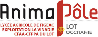 Site de fourchefourchetteanimapole2 !