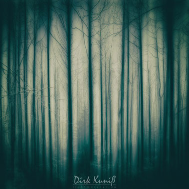 Im Wald