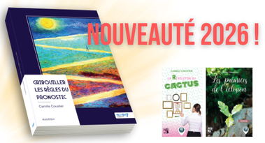 NOUVEL OUVRAGE 2026 !