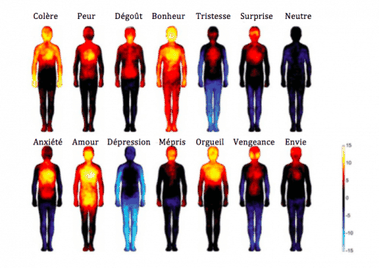 Biochimie des émotions - Lien entre mental-corps-émotions