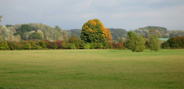 Goldener Oktober auf der Kollerinsel