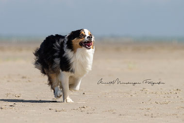 Fotoworkshop in Sankt Peter-Ording