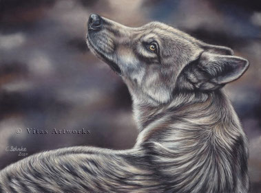ausdrucksstarke Tierkunst - Wolf in Pastell - limitierter Kunstdruck 