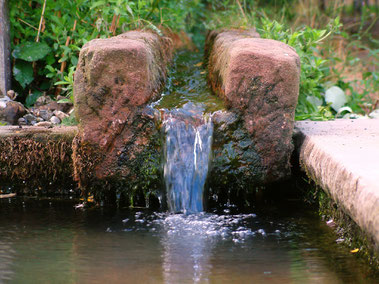 Die römische Wasserleitung versorgte einst einen Gutshof. Foto: Pfalz-Touristik