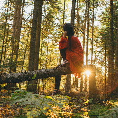 Eintauchen mit allen Sinnen - im Wald kommen wir auf andere Gedanken und können den Alltag vergessen.