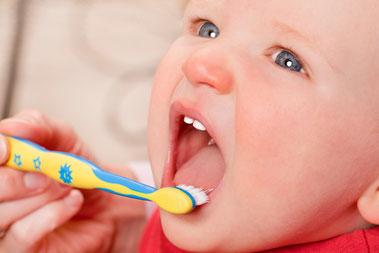 Ab dem ersten Zahn richtig zu pflegen - ( © proDente e.V. )