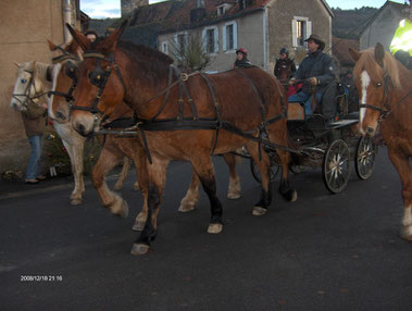 Téléthon 2008