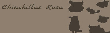 Chinchillas Rosa (rosa230280)