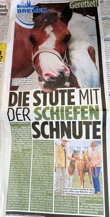 TESSA u. PALOMA in der BILD-Zeitung, 19.12.2020