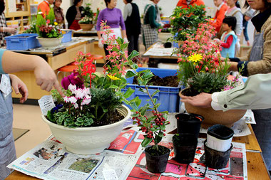 宮子花園は、一年を通して寄せ植え教室を実施しています。寄せ植えのポイントをお教えしますから、お気に入りの寄せ植えを作れます。