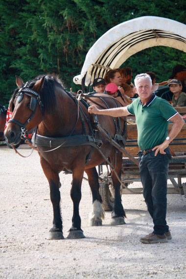 Balade en attelage au Galopin