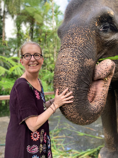 mason-elephant-lodge-bali