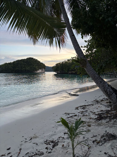 katembe-raja-ampat