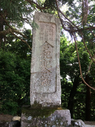 八ツ房杉(筆者撮影)