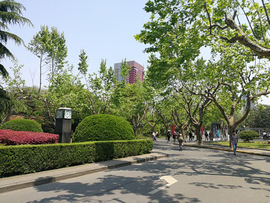中国語学留学　華東師範大学（上海）　ガーデニングキャンパス