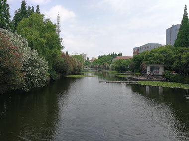 中国語学留学　華東師範大学（上海）庭園風