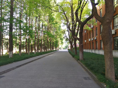 中国語学留学　華東師範大学（上海）　学生寮「国際交流服務センター」