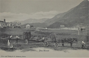 Phot. und Verlag D. C. Adamson Davos